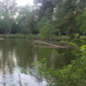 Meet your Posher, Karla